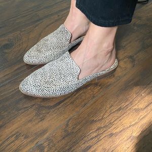 Madewell slides